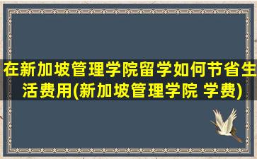 在新加坡管理学院留学如何节省生活费用(新加坡管理学院 学费)